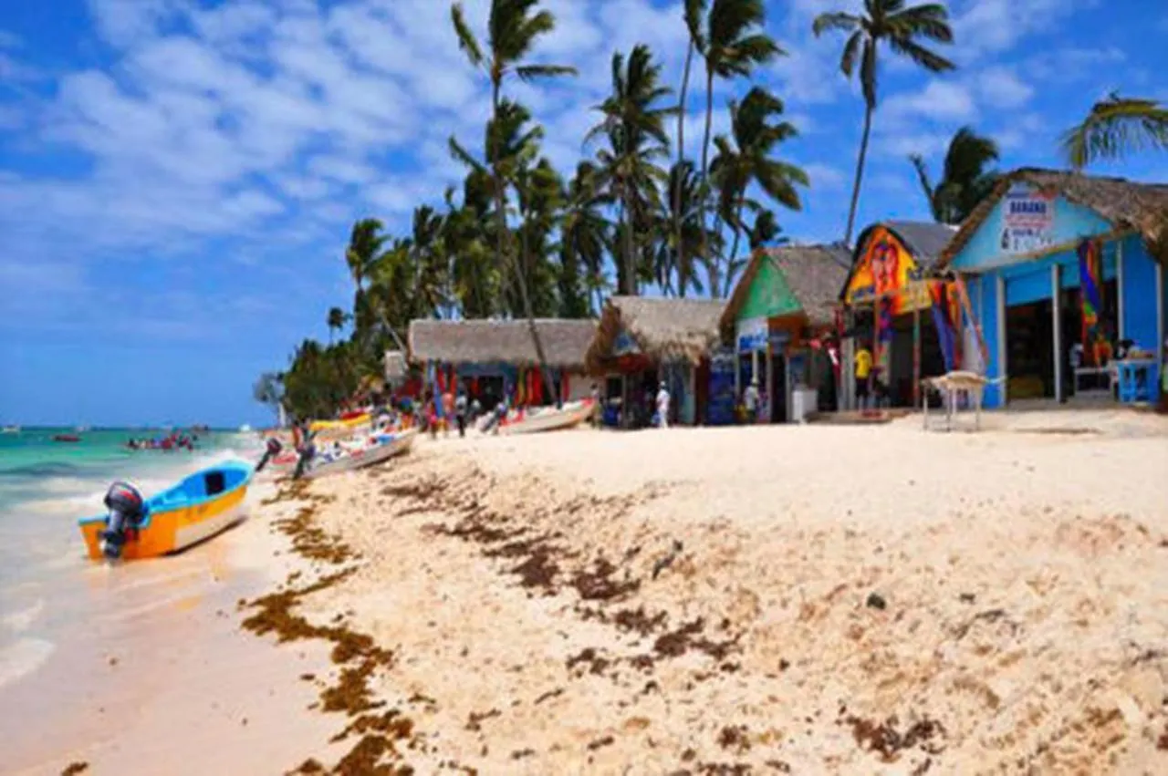 Chic Beachfront Apartment - Private Beach Access Punta Cana 0*,  República Dominicana